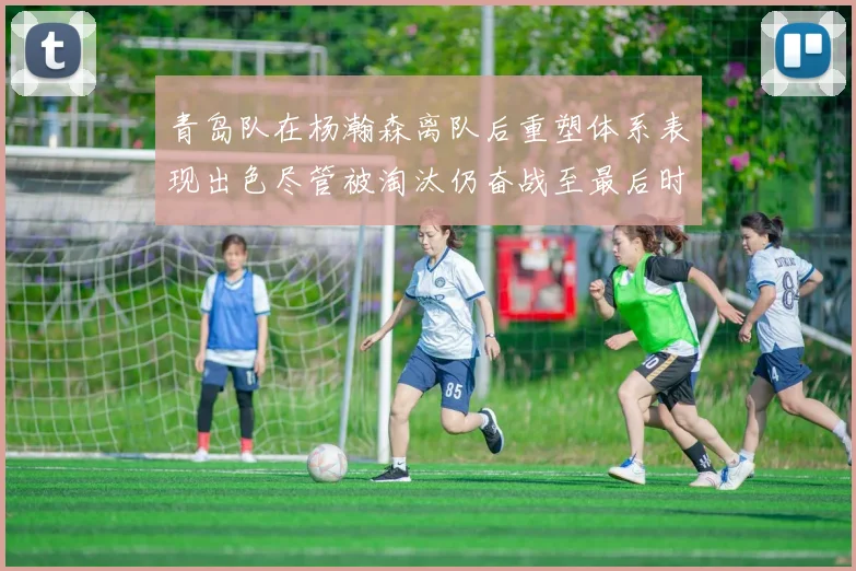 青岛队在杨瀚森离队后重塑体系表现出色尽管被淘汰仍奋战至最后时刻
